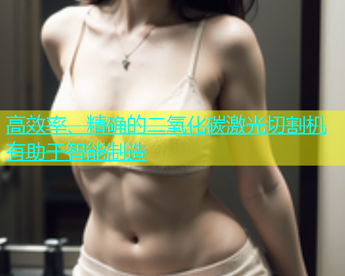 高效率、精确的二氧化碳激光切割机有助于智能制造