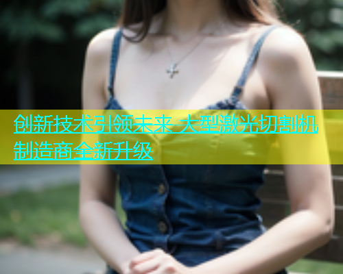 创新技术引领未来 大型激光切割机制造商全新升级