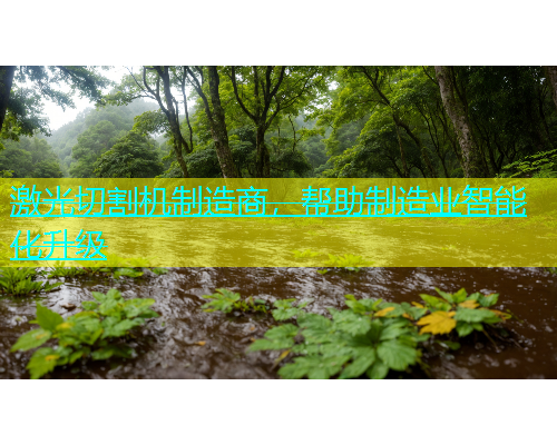 激光切割机制造商,帮助制造业智能化升级 激光切割机制造商,帮助制造业智能化升级(图2)