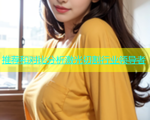 推荐和对比分析激光切割行业领导者(图2)