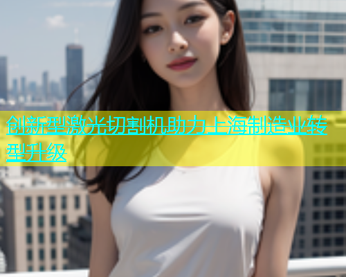 创新型激光切割机助力上海制造业转型升级(图1)