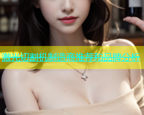 激光切割机制造商推荐和品牌分析(图2)