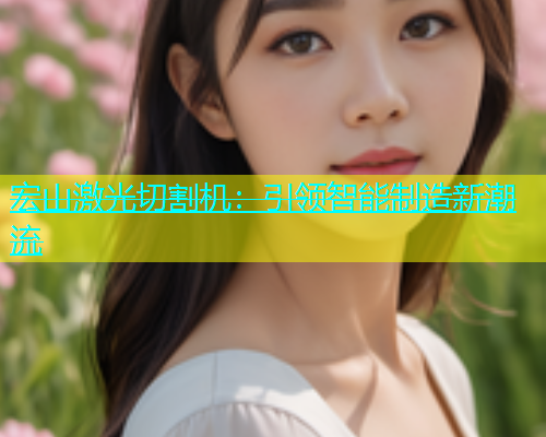 宏山激光切割机:引领智能制造新潮流 宏山激光切割机:引领智能制造新潮流(图2)
