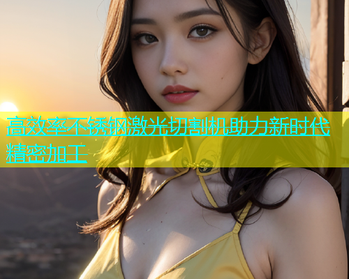 高效率不锈钢激光切割机助力新时代精密加工(图2)