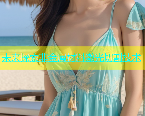 未来探索非金属材料激光切割技术(图1)